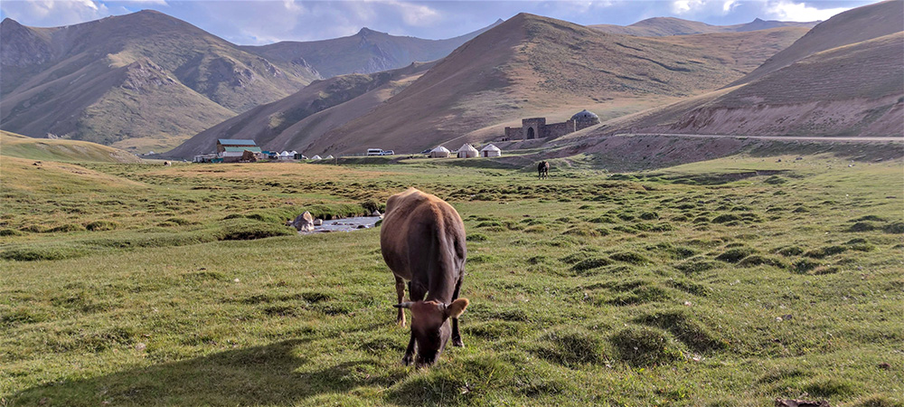 vacunas para viajar a Kirguistan