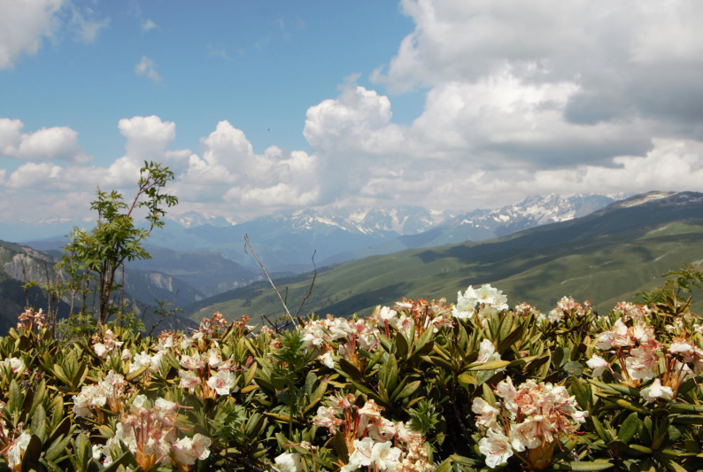trekking en Georgia, Usghuli, Mestia Svaneti